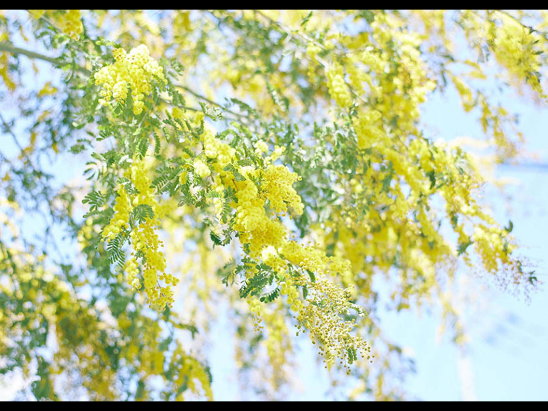 佳日写真教室卒業展