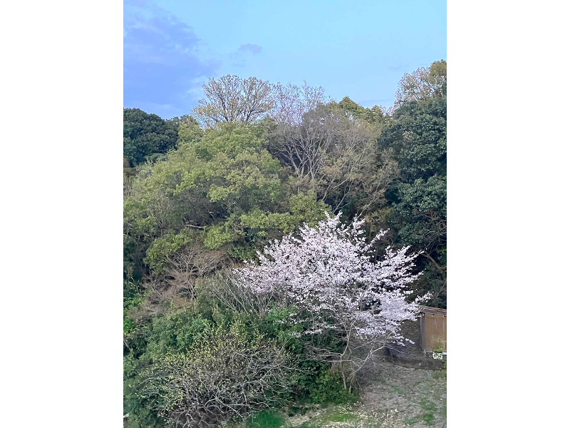 オオモリヨシエ展