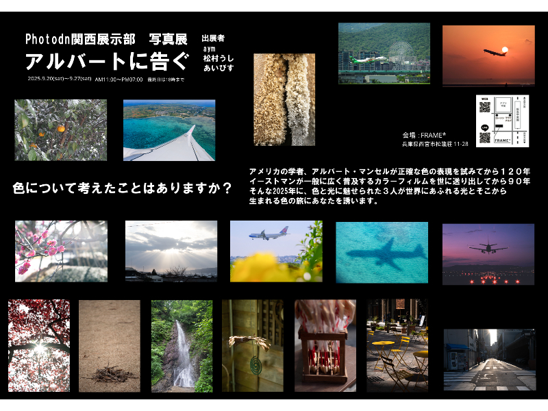 アルバートに告ぐ